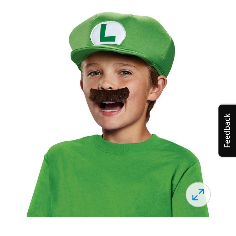 Super Mario Brothers Luigi Hat Halloween Costume Nintendo